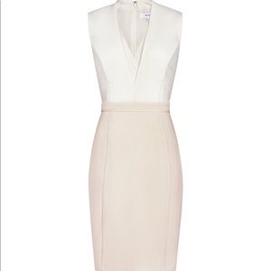 NEW Reiss Lourdes Fitted Dress With Pin Tuck Top